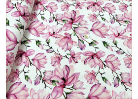 Kwiaty Magnolia na Bieli