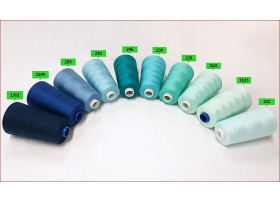 Nici Overlock-5000y -231 2