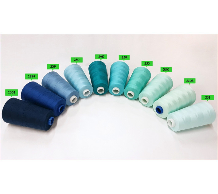 Nici Overlock-5000y -K2