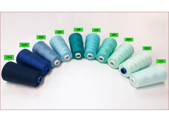 Nici Overlock-5000y -K2