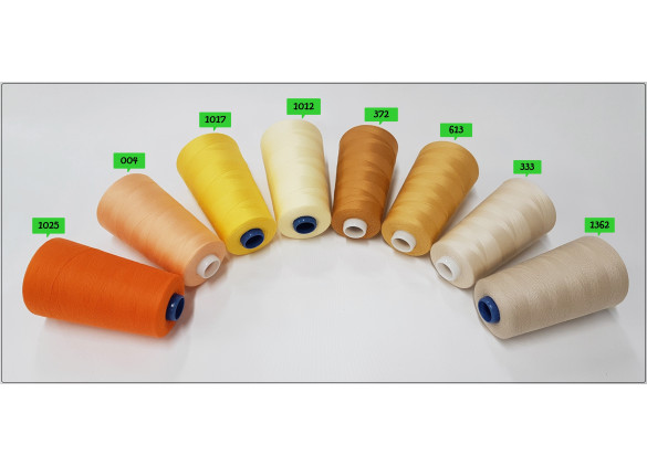Nici Overlock-5000y -2