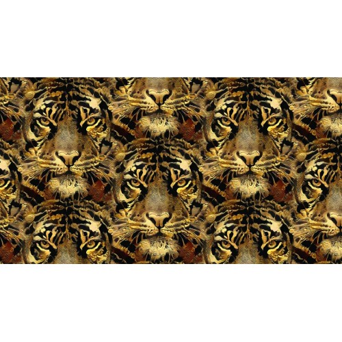 Tygrysy Głowy -Cyfra2