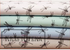 Ważki Grafit - Mieta Aqua 2